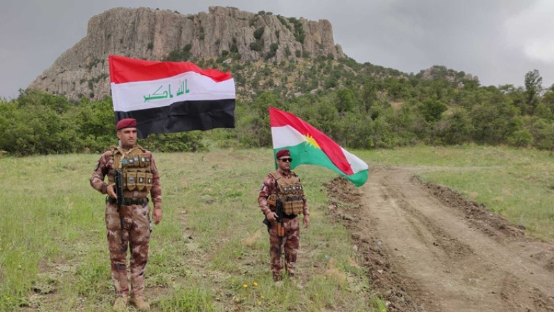 Peşmerge ve sınır muhafızları sahada