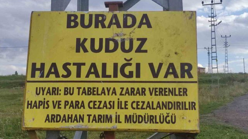 Kuduz Virüsü Tespit Edildi