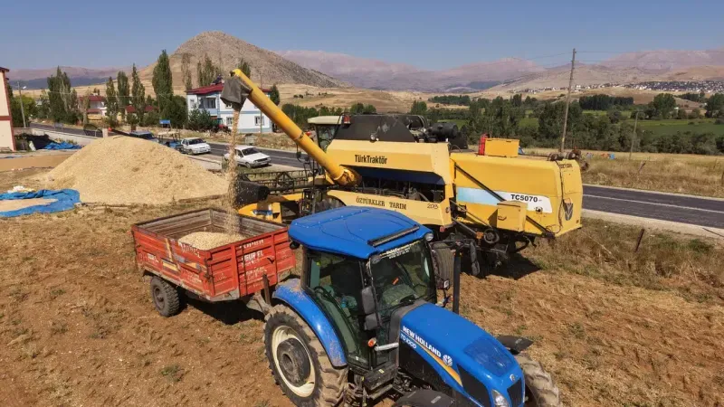 Tufanbeyli'de Nohut Hasadı Başladı